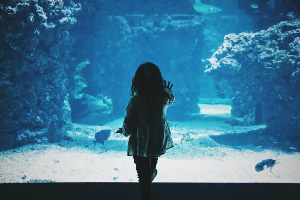 A little girl in front of an aquarium in Nice